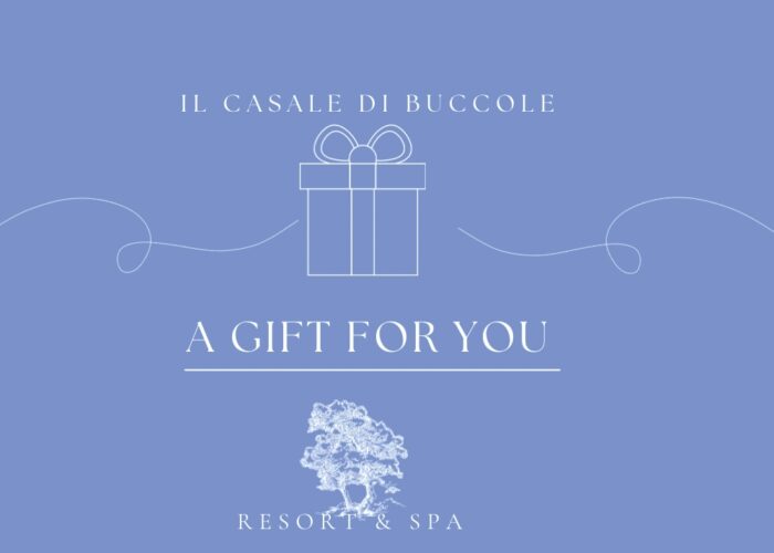 Scopri i nostri Gift Pack